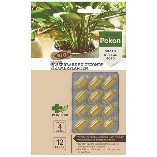 Bio Kuur Capsules Kamerplanten – 12 stuks | 100% Natuurlijk