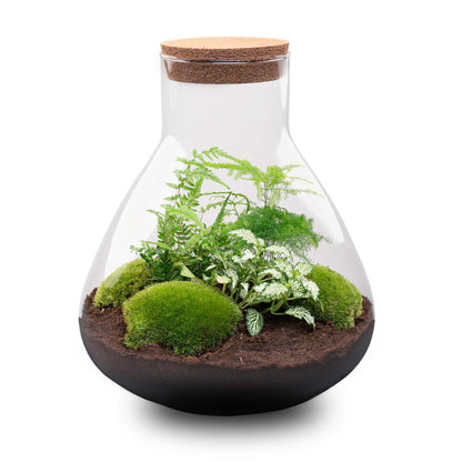DIY Terrarium Sam XL kopen – Zelfvoorzienend mini-ecosysteem Ø30 cm | Plant To Day