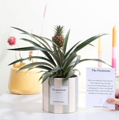 Ananas Rosita Gift | "The Passionate" | WITH GREETING CARD!