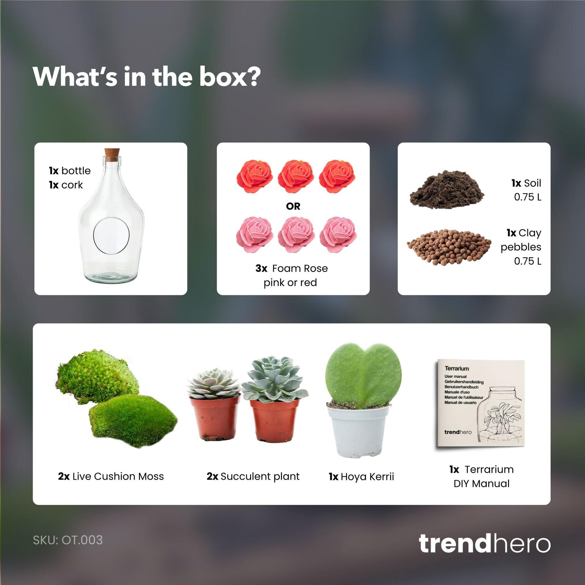 Romantisch open terrarium met hartplant en vetplanten. Actie- scherp geprijsd