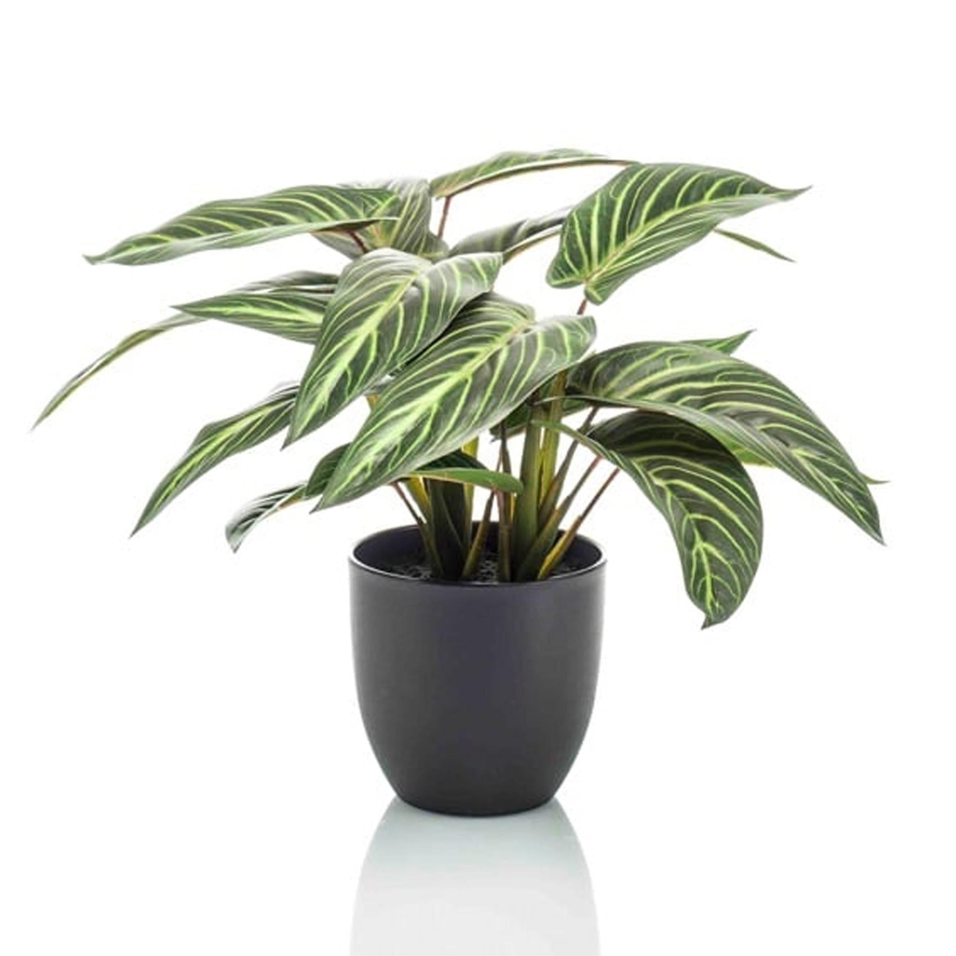 Calathea Zebrina kunstplant van 42 cm hoog in zwarte pot, met realistische fluweelzachte bladeren en zebrapatroon. Planttoday
