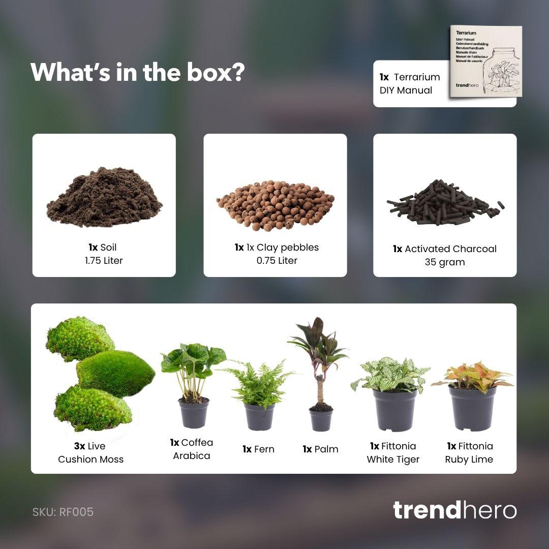 Planten Terrarium Navulling & Startpakket | Jungle | Maat L/XL