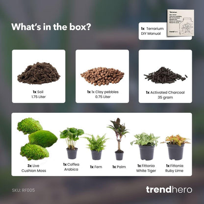 Planten Terrarium Navulling & Startpakket | Jungle | Maat L/XL