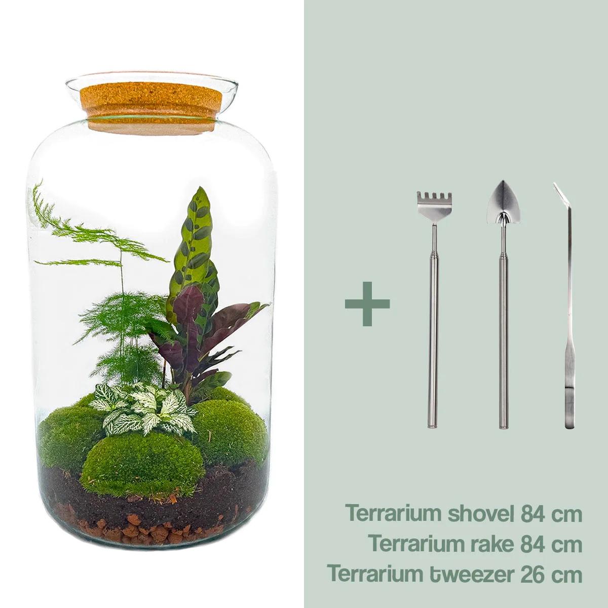 Planten terrarium met led |Sven XL Botanical | Rake + Shovel + Tweezer