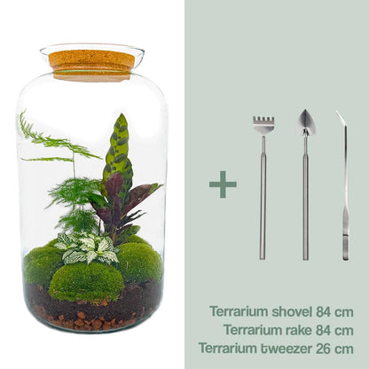 Planten terrarium met led |Sven XL Botanical | Rake + Shovel + Tweezer