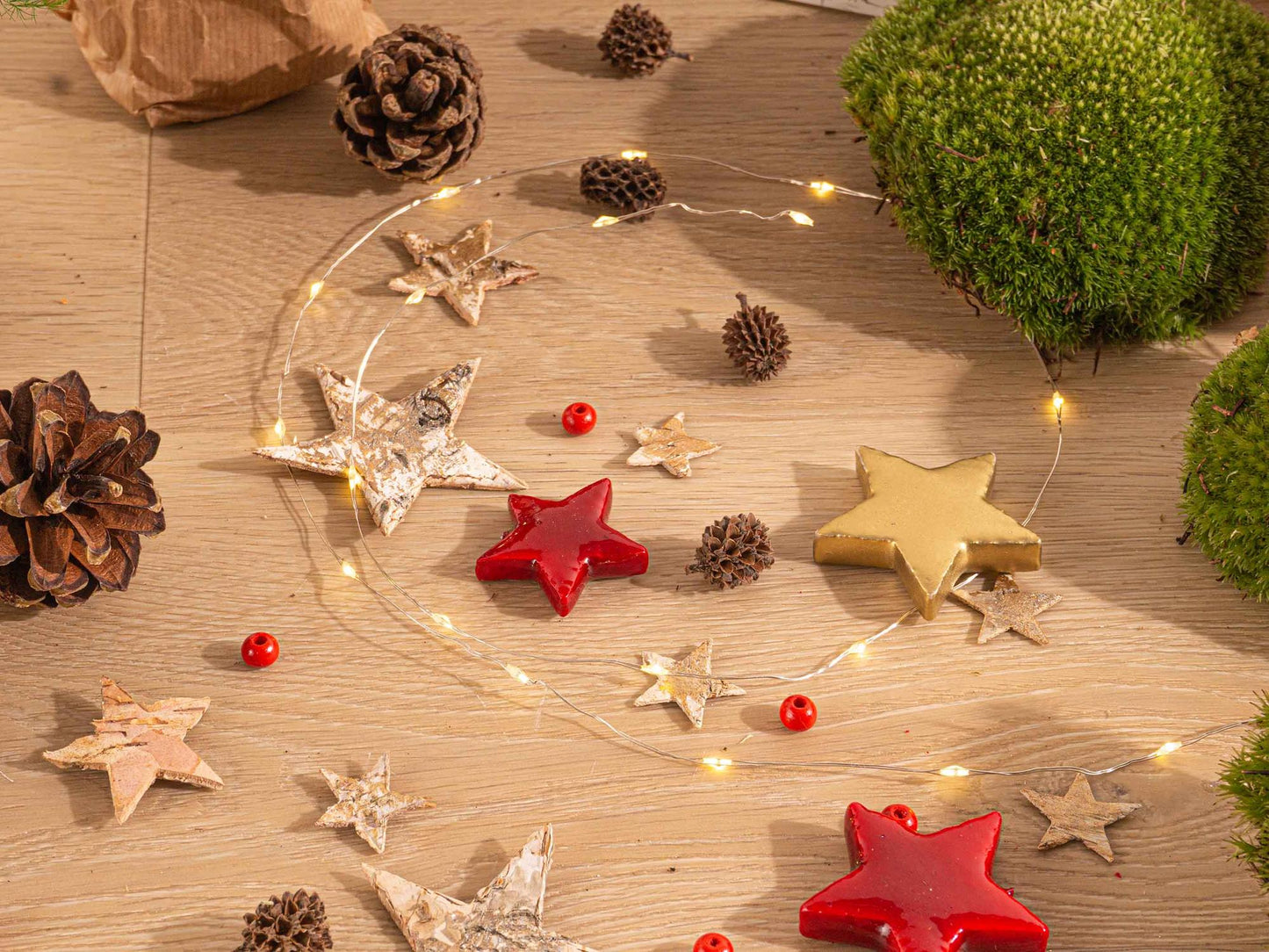 Planten terrarium pakket | Mini-kerstboom | Navulling & Startpakket | DIY Christmas