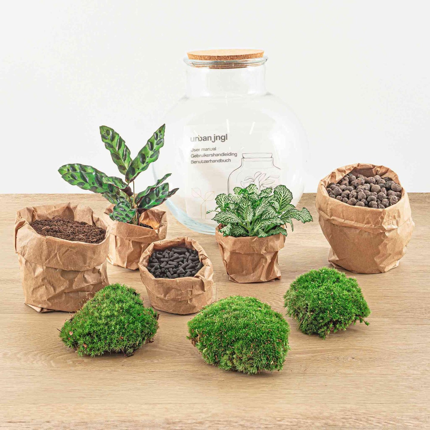 DIY Planten Terrarium met Licht | Inclusief Rake, Shovel, Tweezer en Scissors