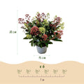 1x - Terrasplant - Skimmia japonica Festival - Bloem Wit & Rood - 15+ Bloemen - 1 Plant - Winterhard - Pot 15cm Hoogte 30cm