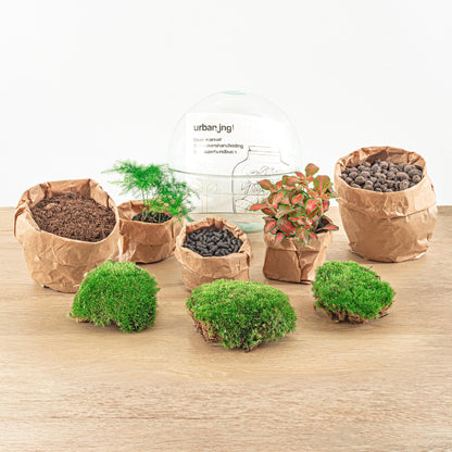 DIY Planten terrarium tweedelig bolglas | Dome Red