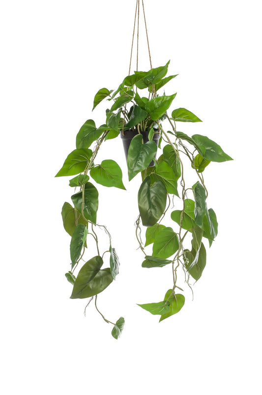 Kunstplant Philodendron scandens 80 cm met hartvormige bladeren, onderhoudsvrije tropische klimplant voor binnen