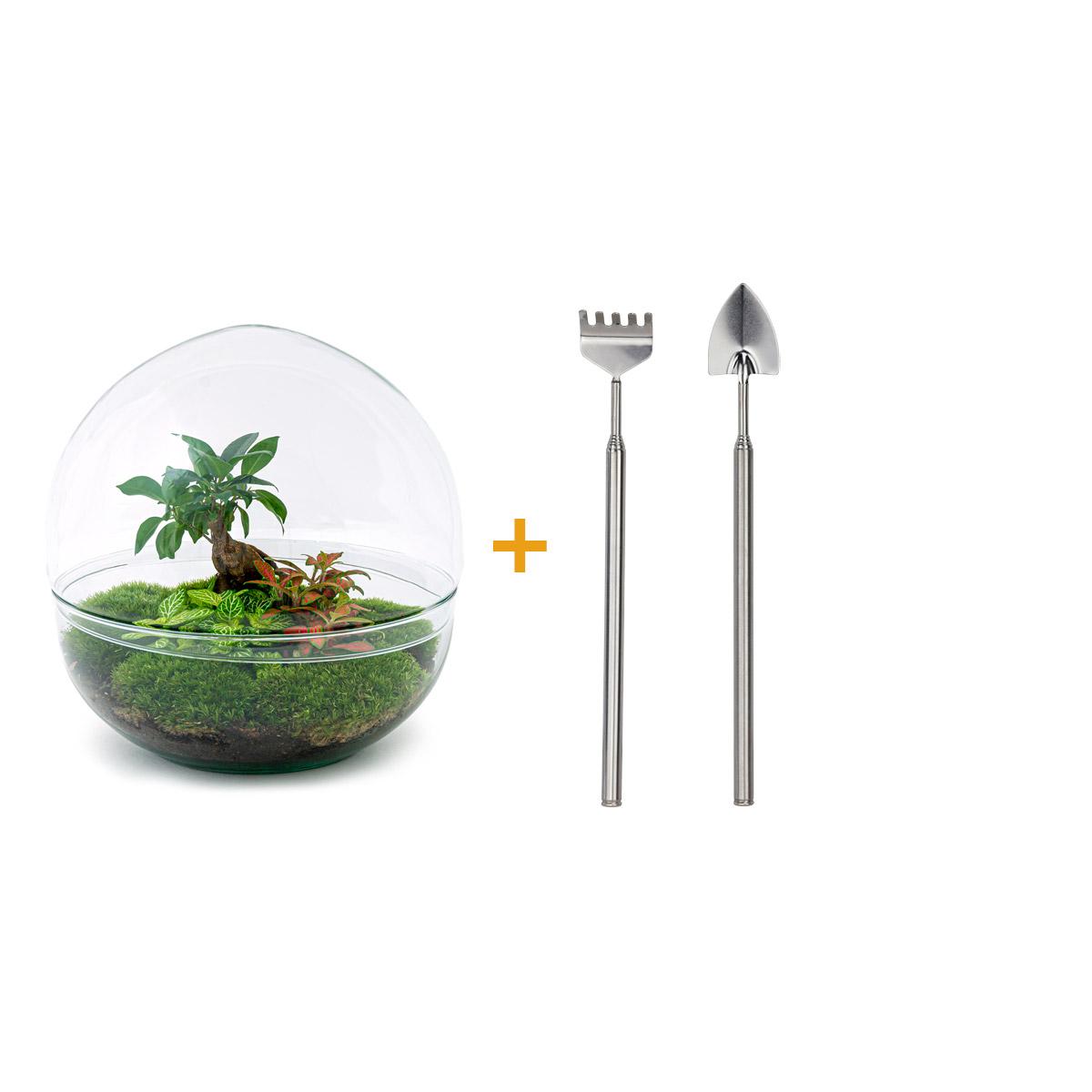 Do-It-Yourself Terrarium Dome XL Bonsai | Terrarium