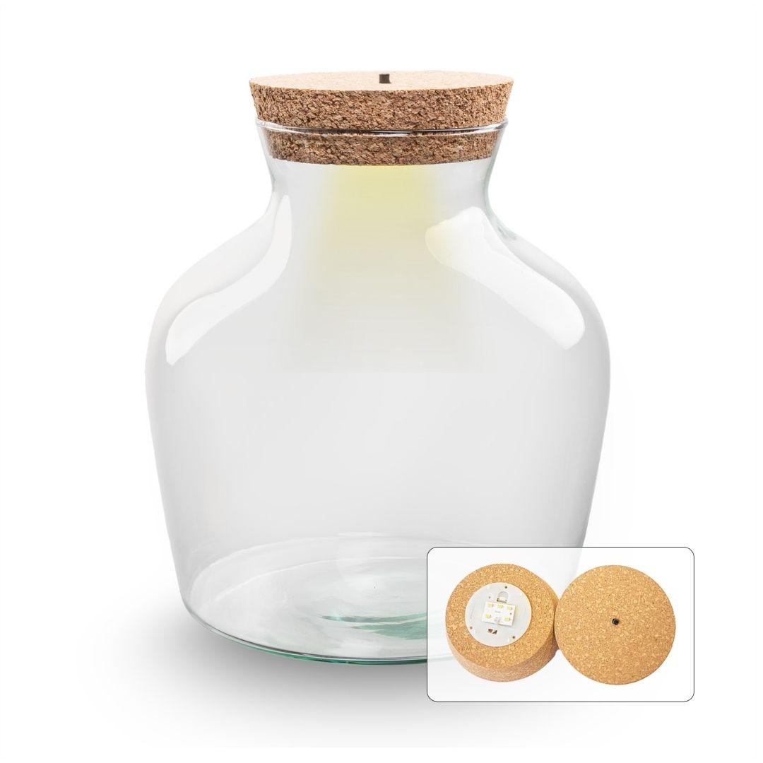 Terrarium fles met verlichting | Little Joe