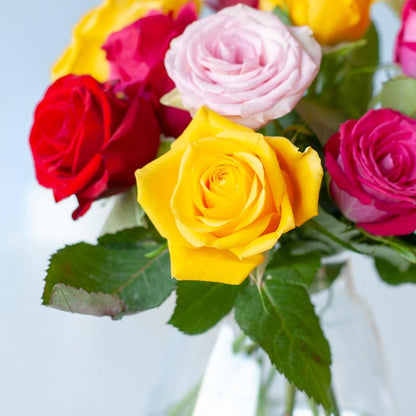 12 x | Bos Bloemen | Colorful Roses | Brievenbusboeket