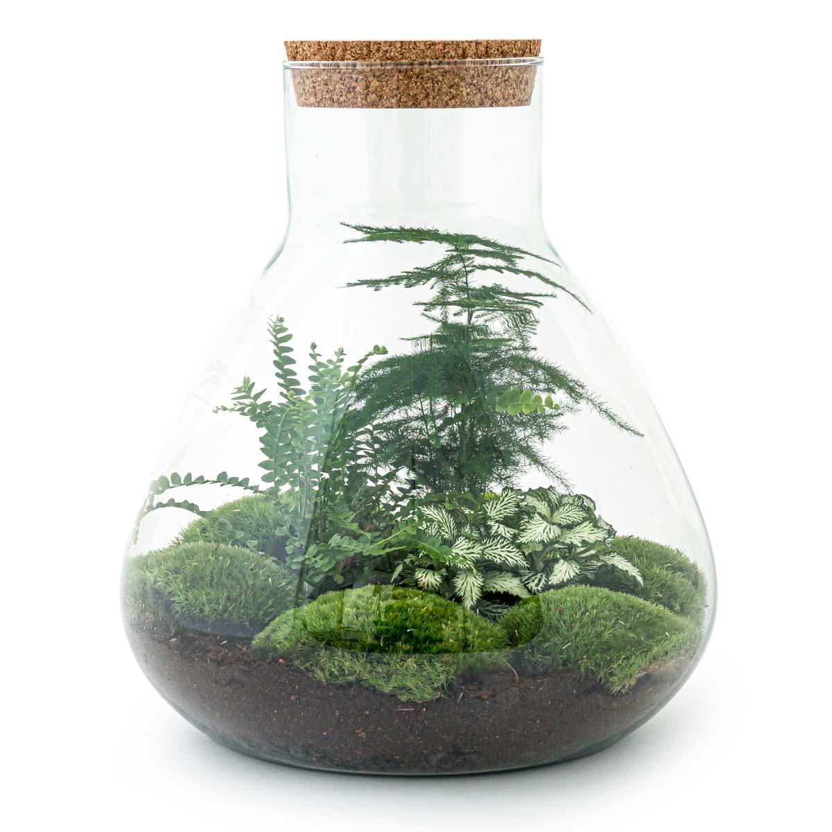 Yourself Terrarium