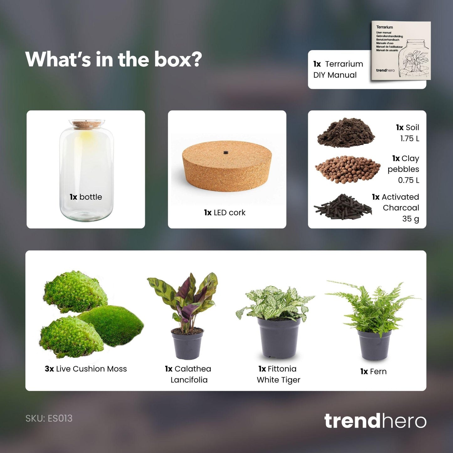 XL terrarium met LED-kurk en groene planten.