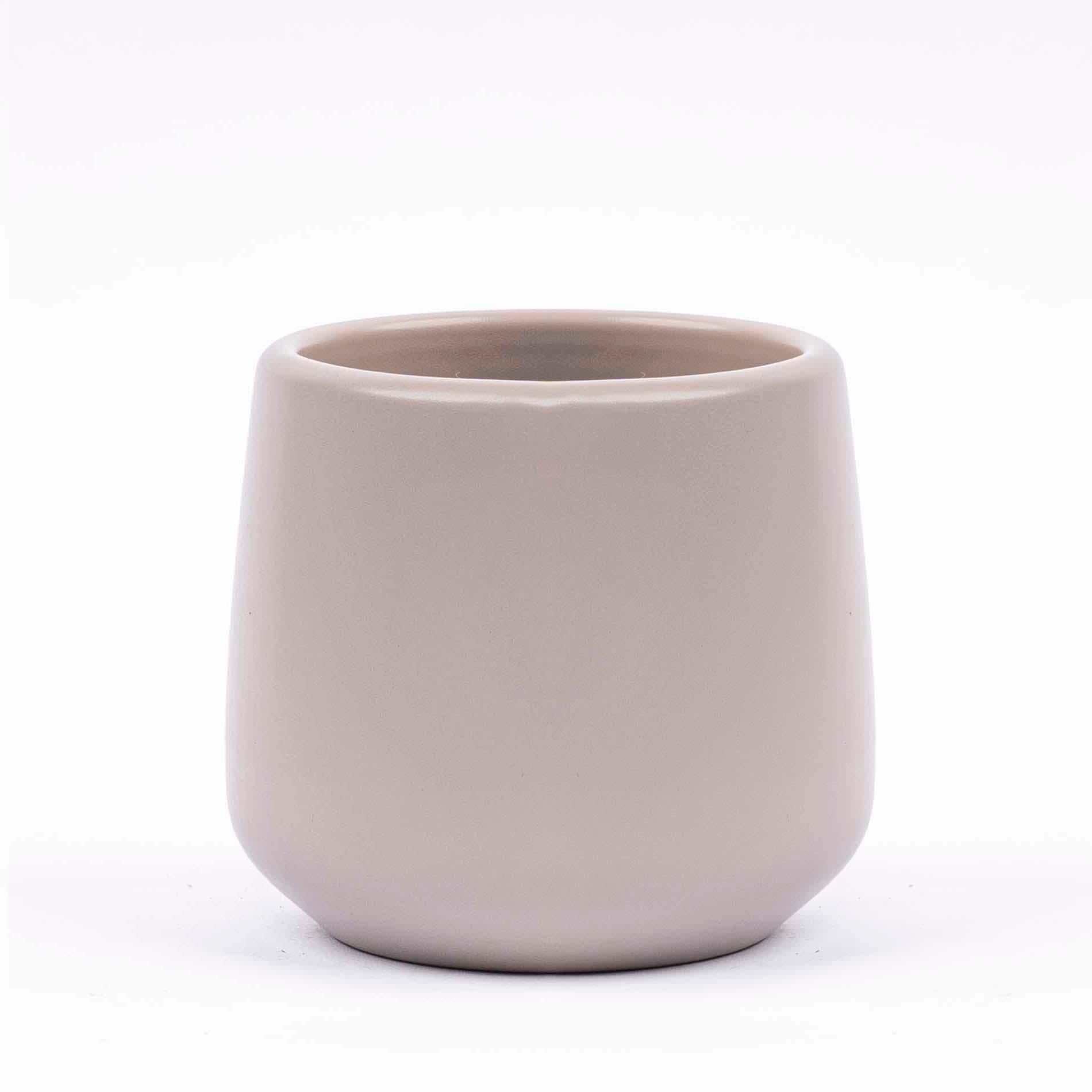 Mini planten set 6 – inclusief 6 compacte kamerplanten met grijze matte keramische pot Joey, ideaal voor een groene en stijlvolle toevoeging in huis"