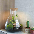 'LOVE MOM' terrarium Sam + gegraveerde kurk met licht - Fles terrarium DIY kit | Moederdag