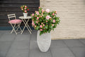 Groenblijvende camellia met roze bloemen voor tuin en terras