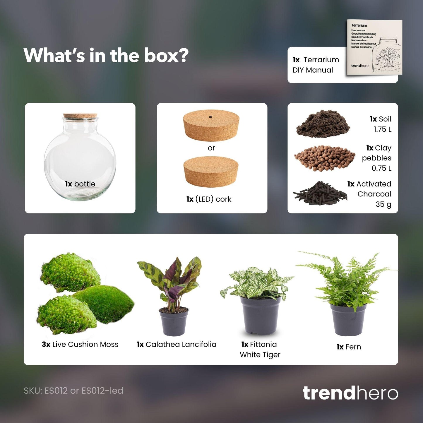 DIY Planten terrarium  | Bolder Bob | Met LED-kurk