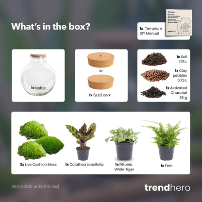 DIY Planten terrarium  | Bolder Bob | Met LED-kurk