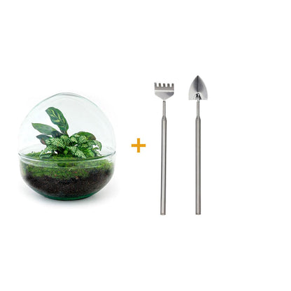 DIY Planten terrarium tweedelig bolglas | Dome