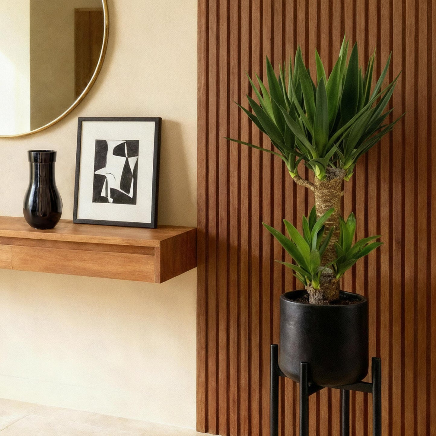 2 x Yucca elephantipes | Weinig onderhoud | Kamerplant