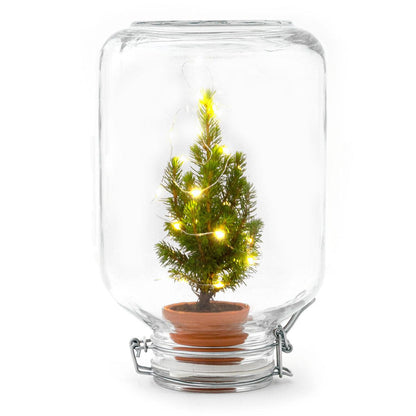 Easyplant | Kerst decoratie