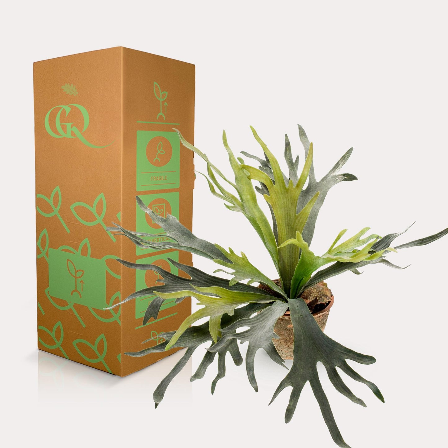 Kunstplant Platycerium | Decoratie | Hertshoornvaren