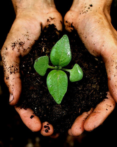 Culvita Universele Potgrond met plantenvoeding | 40 liter