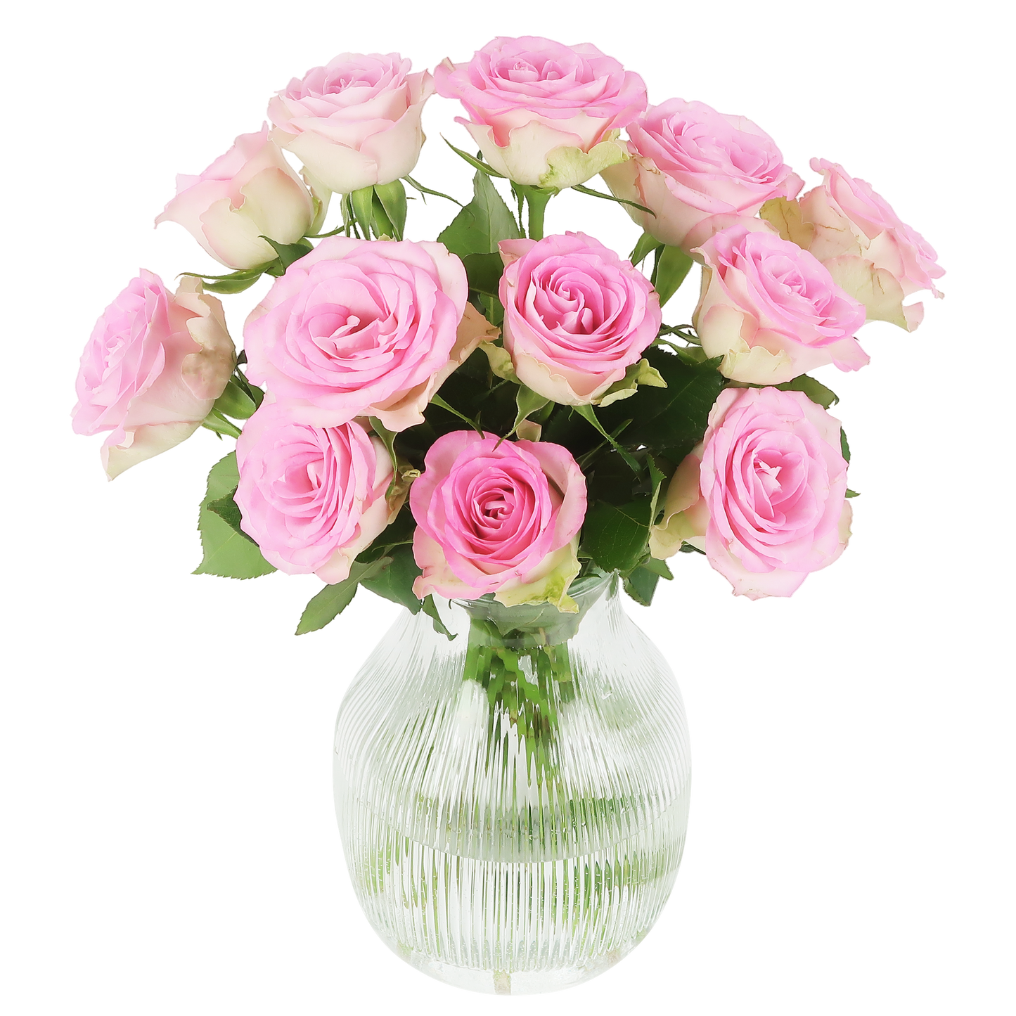 12 x Sweet roses | roze rozen in brievenbuspakket