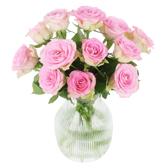 12 x Sweet roses | roze rozen in brievenbuspakket