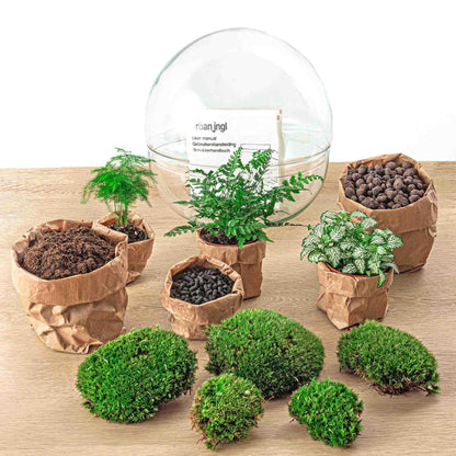 DIY Planten terrarium tweedelig bolglas | Dome XL | Rake + Shovel