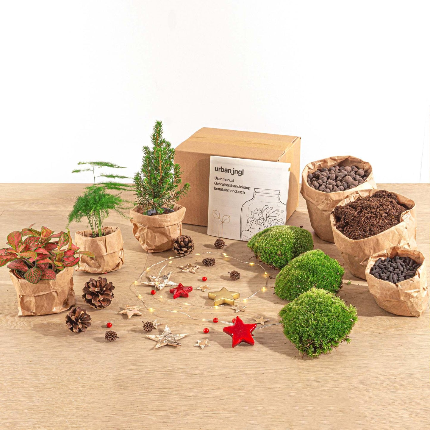 DIY kerst terrarium pakket met mini-kerstboom en drie planten