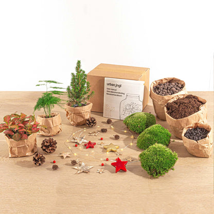 DIY kerst terrarium pakket met mini-kerstboom en drie planten