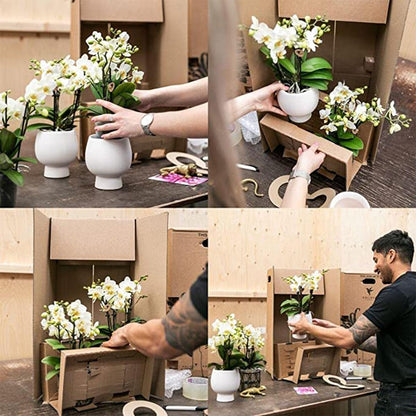 Roze paarse Phalaenopsis orchidee - El Salvador + Luxury gouden sierpot