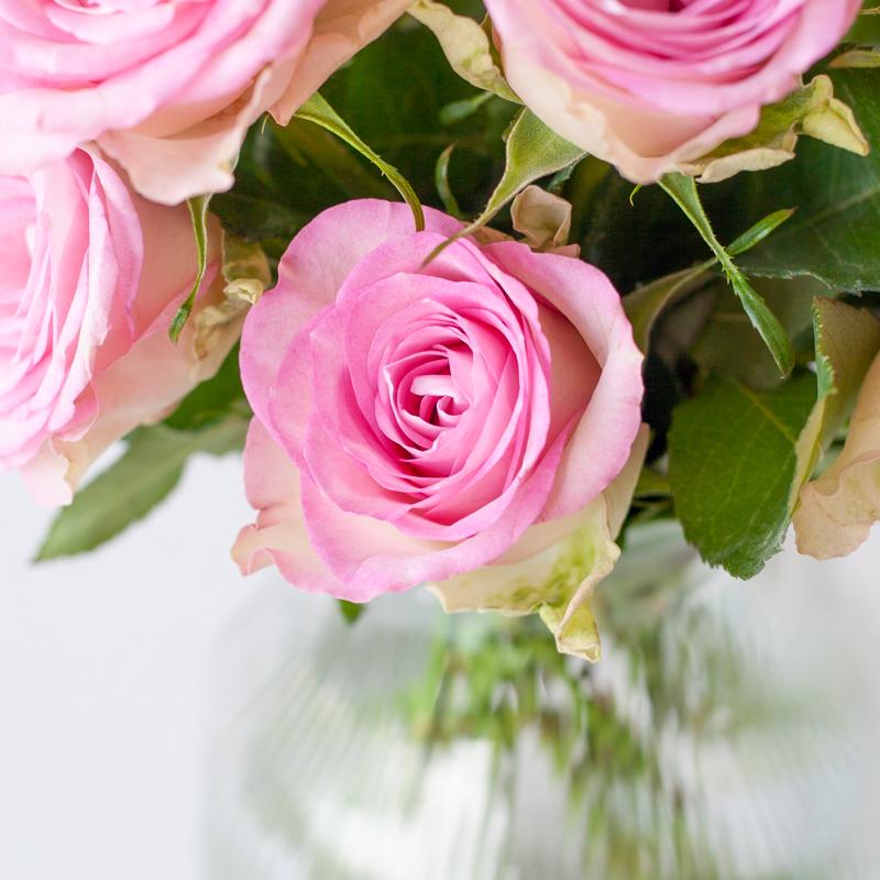 12 x Sweet roses | roze rozen in brievenbuspakket