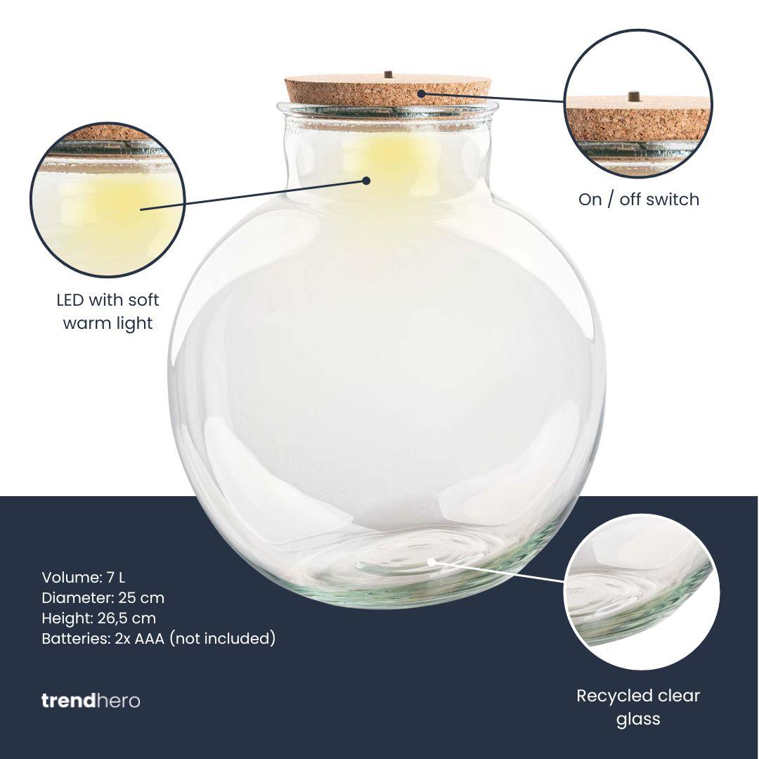 Terrarium fles met verlichting | Teddy