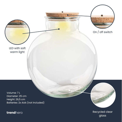 Terrarium fles met verlichting | Teddy