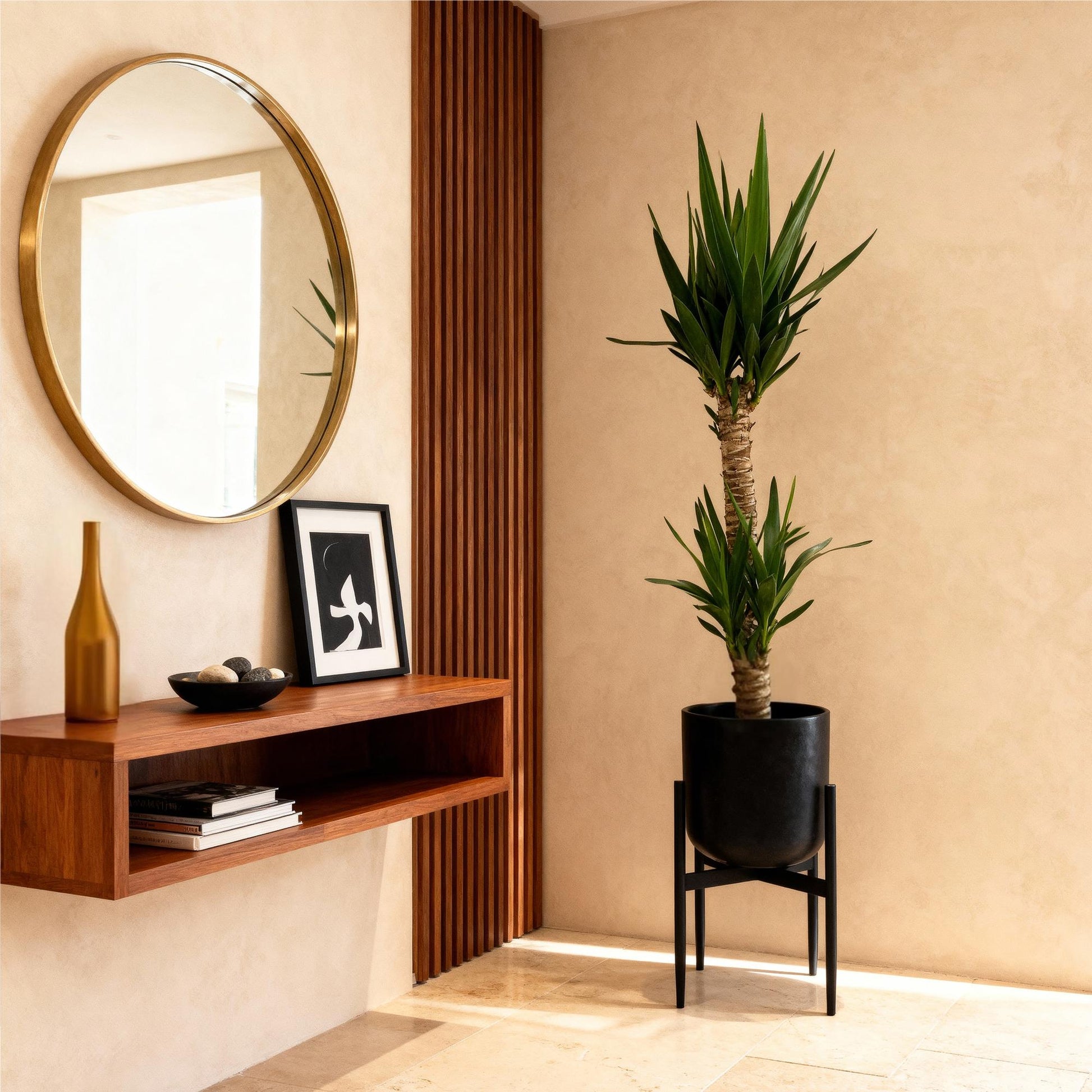 Yucca elephantipes kamerplant voor tropische uitstraling