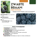 Zomervruchten Mix Pakket – 4 biologische zelfbestuivende fruitplanten voor in de tuin