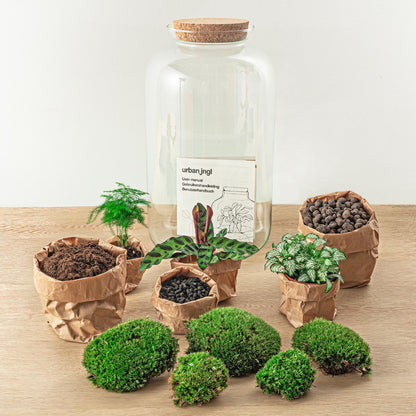 Planten terrarium met led |Sven XL Botanical | Rake + Shovel + Tweezer