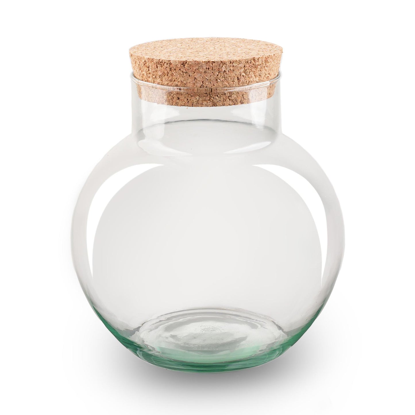 Compacte terrariumfles met kurk voor mini ecosysteem