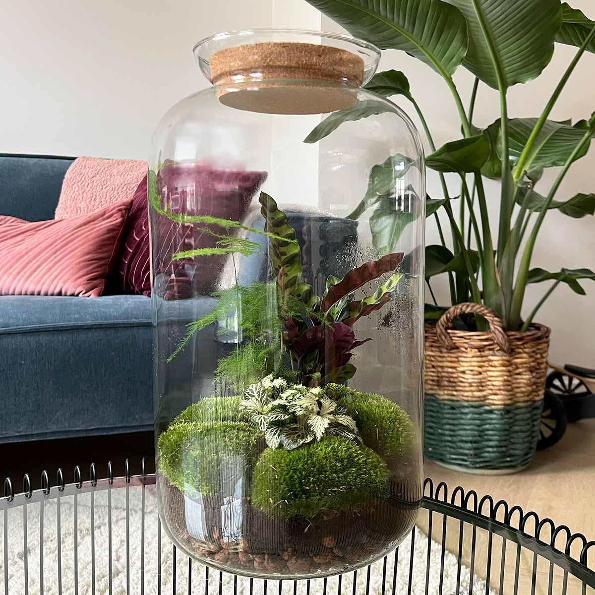 Planten terrarium met led |Sven XL Botanical | Rake + Shovel + Tweezer