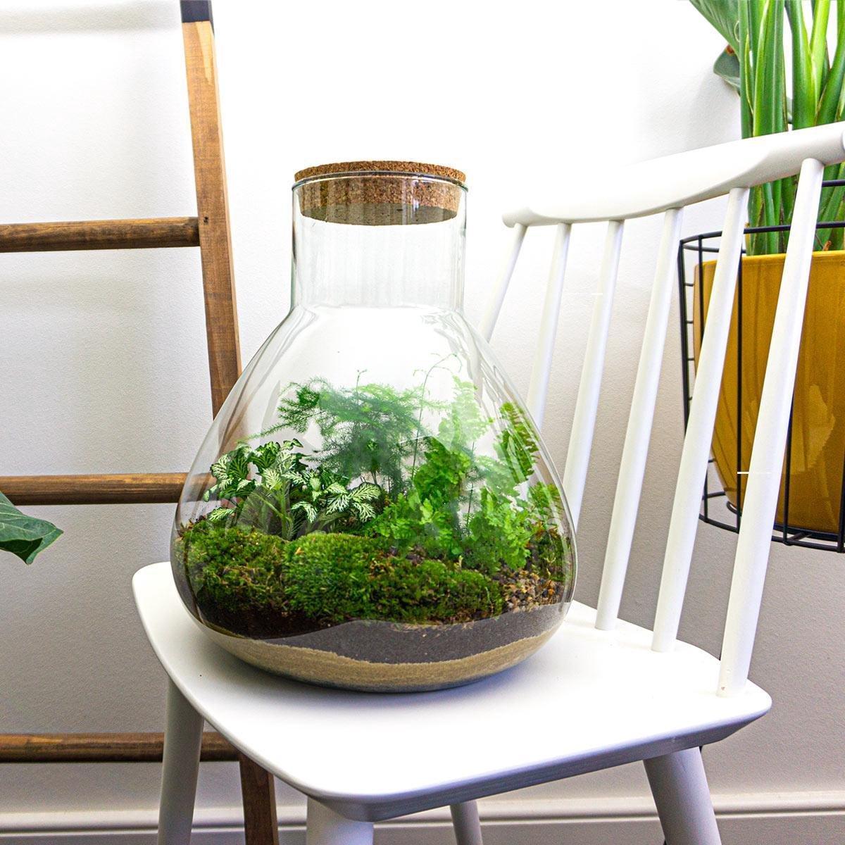 DIY Planten terrarium met licht | Sam XL Green. Interieur - Planttoday