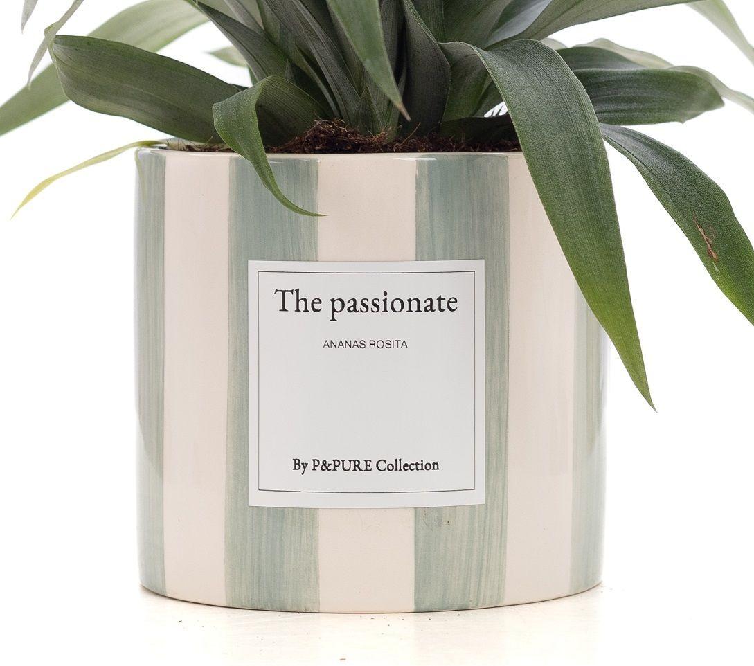Ananas Rosita Gift | "The Passionate" | WITH GREETING CARD!
