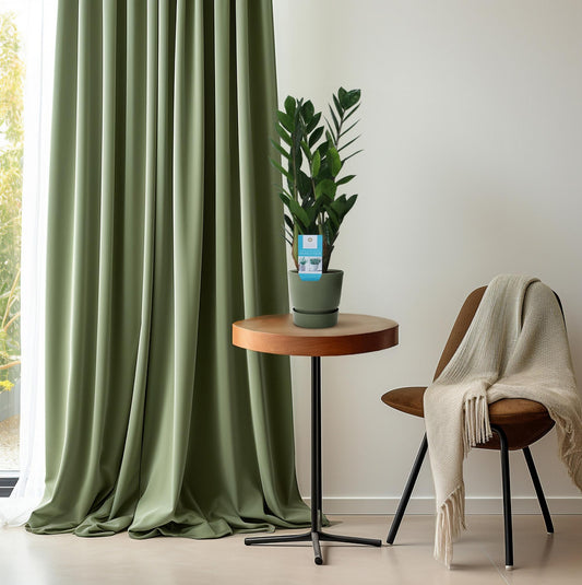 Zamioculcas ZZ-plant in pot Ø14cm – Donkergroene kamerplant 55cm hoog