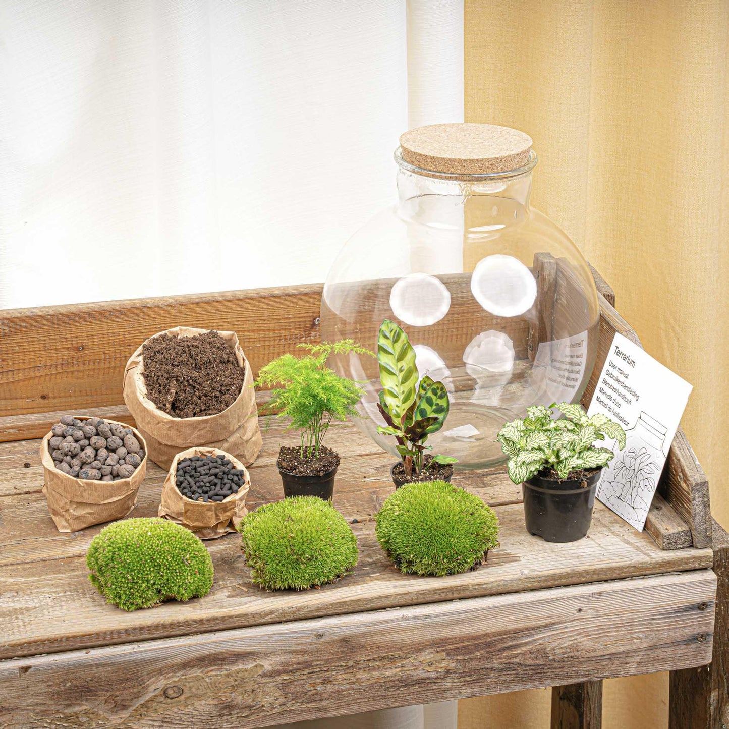 DIY Planten terrarium  | Bolder Bob | Met LED-kurk