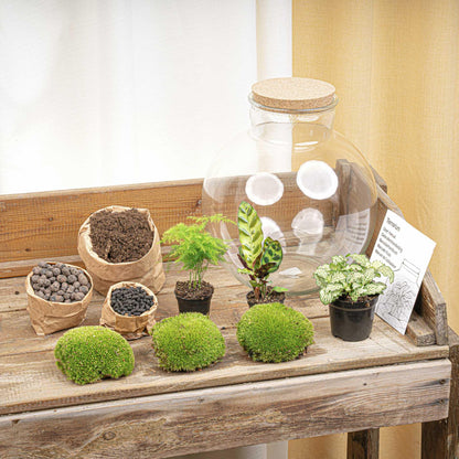 DIY Planten terrarium  | Bolder Bob | Met LED-kurk
