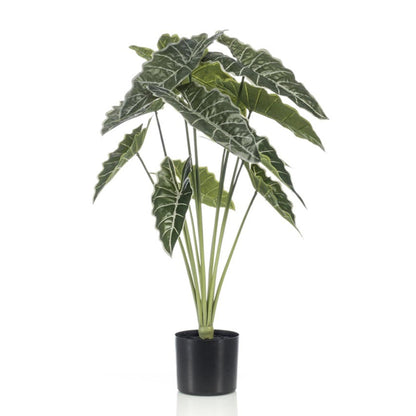 Alocasia Kamerplant | Kunstplant
