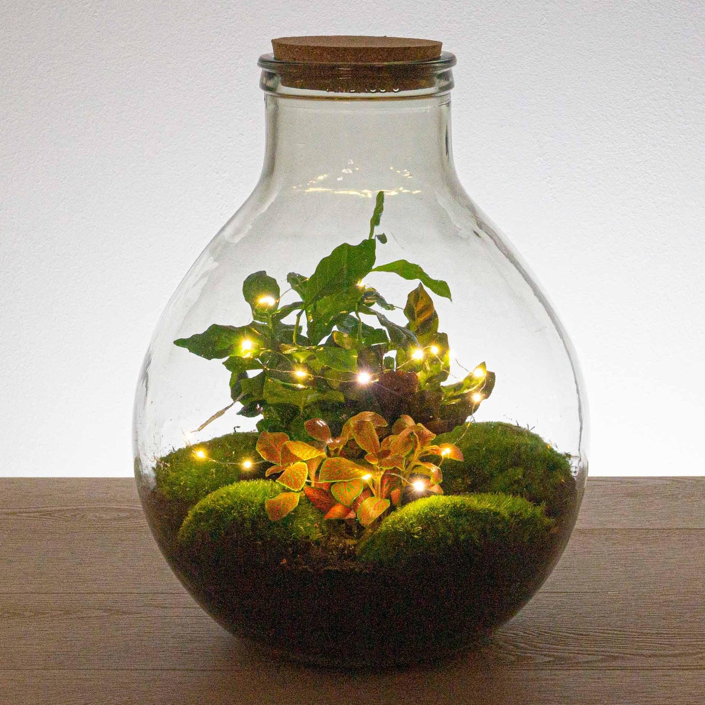 Flexibele draadverlichting 20 warm witte ledlampjes. Kerst of Terrarium